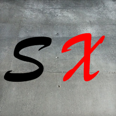 Selbstexperiment.de Logo und Favicon